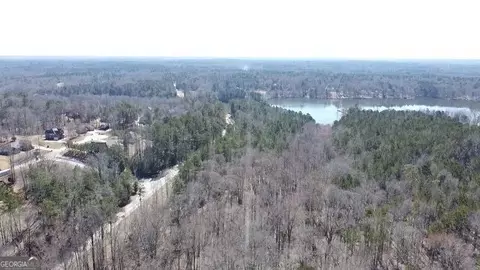 0 Panhandle Rd #LOT 2, Hampton, GA 30228 photo 6