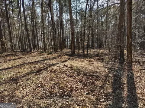 0 Panhandle Rd #LOT 2, Hampton, GA 30228 photo 20