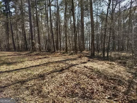 0 Panhandle Rd #LOT 4, Hampton, GA 30228 photo 15