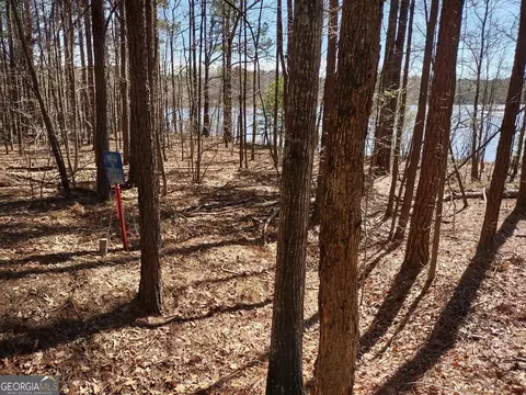 0 Panhandle Rd #LOT 4, Hampton, GA 30228 photo 17