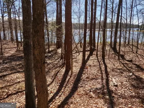 0 Panhandle Rd #LOT 4, Hampton, GA 30228 photo 22