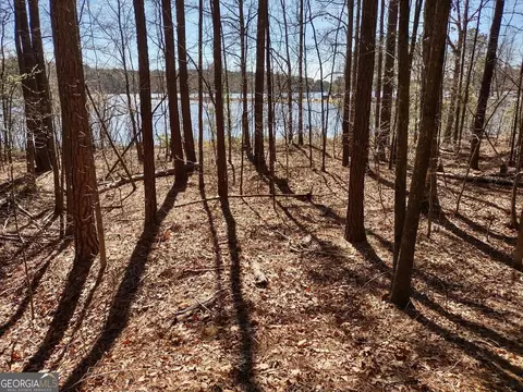 0 Panhandle Rd #LOT 4, Hampton, GA 30228 photo 16