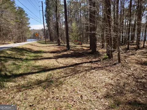 0 Panhandle Rd #LOT 4, Hampton, GA 30228 photo 26