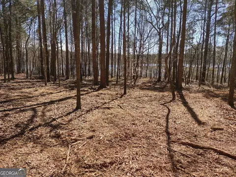 0 Panhandle Rd #LOT 4, Hampton, GA 30228 photo 25