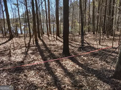 0 Panhandle Rd #LOT 4, Hampton, GA 30228 photo 14