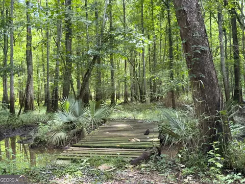 583 Treisch Rd, Pineview, GA 31071 photo 21