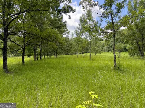 583 Treisch Rd, Pineview, GA 31071 photo 35