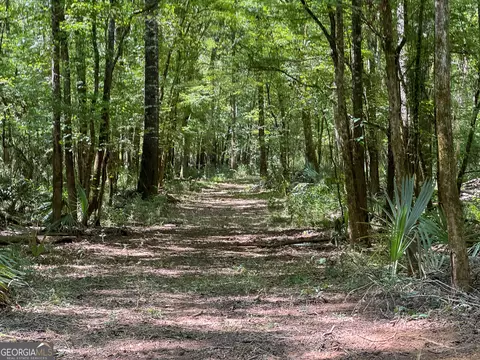 583 Treisch Rd, Pineview, GA 31071 photo 52
