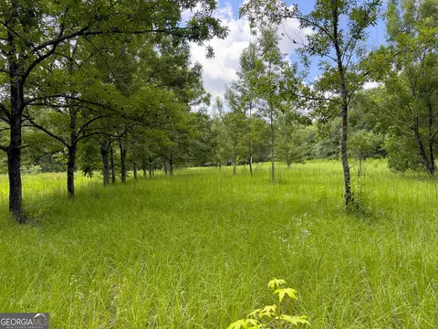 583 Treisch Rd, Pineview, GA 31071 photo 18
