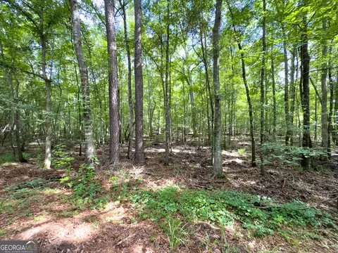 583 Treisch Rd, Pineview, GA 31071 photo 14