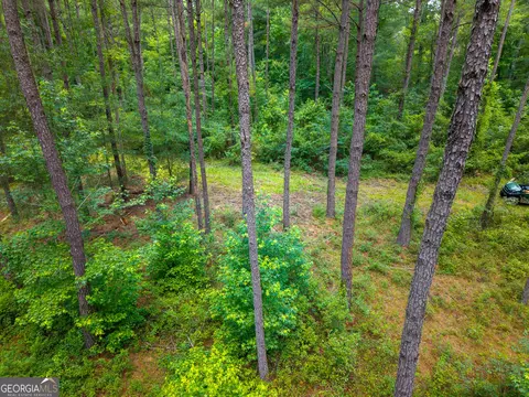 583 Treisch Rd, Pineview, GA 31071 photo 5