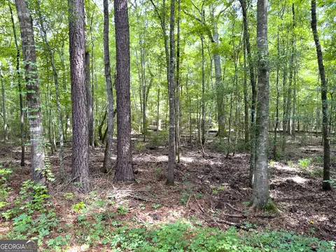 583 Treisch Rd, Pineview, GA 31071 photo 15