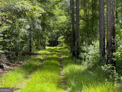583 Treisch Rd, Pineview, GA 31071 photo 12