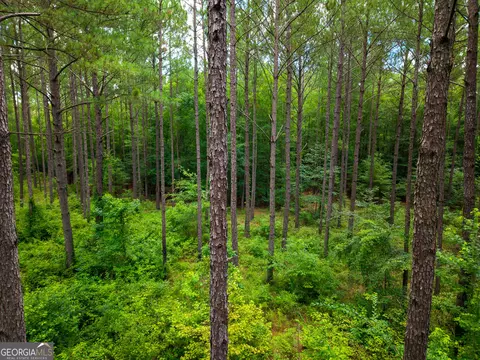 583 Treisch Rd, Pineview, GA 31071 photo 2