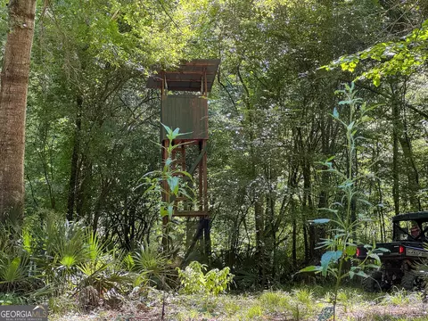 583 Treisch Rd, Pineview, GA 31071 photo 51