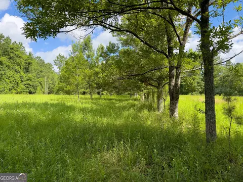 583 Treisch Rd, Pineview, GA 31071 photo 13