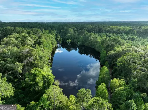 0 Canoochee Rd, Metter, GA 30439 photo 15