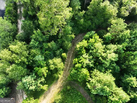 0 Canoochee Rd, Metter, GA 30439 photo 11
