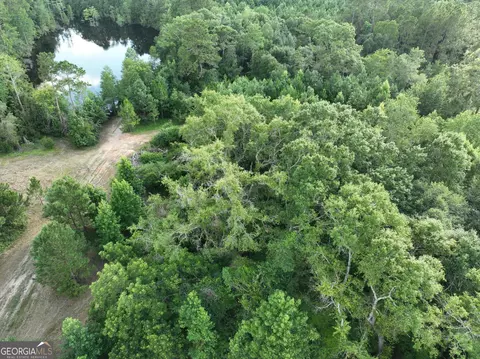 0 Canoochee Rd, Metter, GA 30439 photo 18