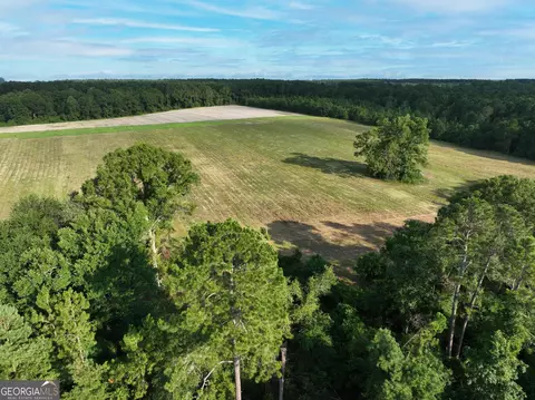 0 Canoochee Rd, Metter, GA 30439 photo 16