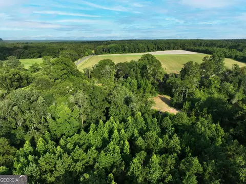 0 Canoochee Rd, Metter, GA 30439 photo 13