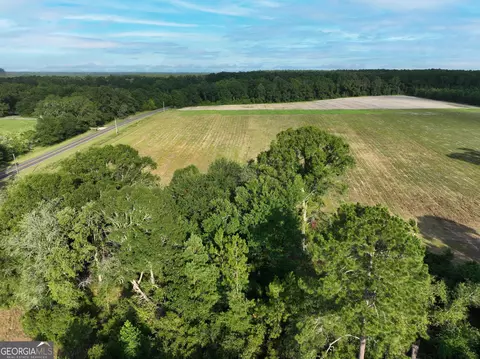 0 Canoochee Rd, Metter, GA 30439 photo 17