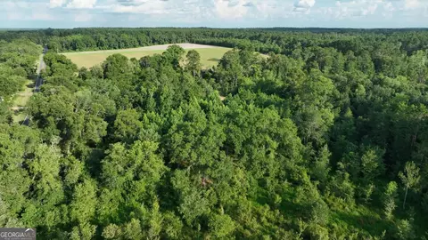 0 Canoochee Rd, Metter, GA 30439 photo 21