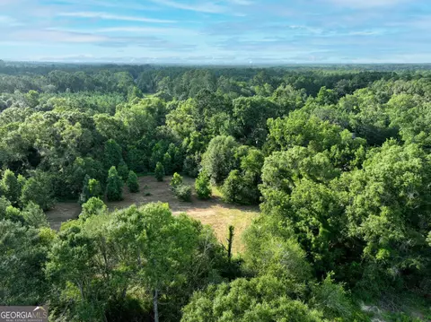 0 Canoochee Rd, Metter, GA 30439 photo 5