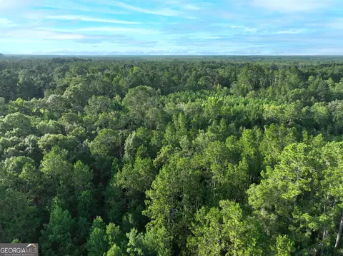 0 Canoochee Rd, Metter, GA 30439 photo 8