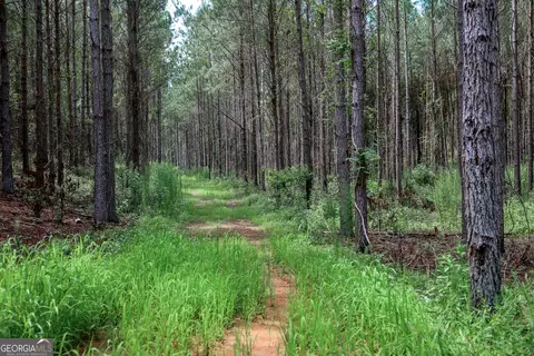 0 Moore Store Rd, Richland, GA 31825