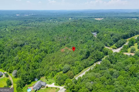 5821 Highway 320, Carnesville, GA 30521 photo 3