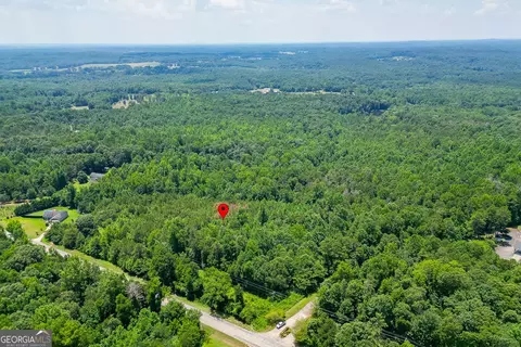 5821 Highway 320, Carnesville, GA 30521 photo 6