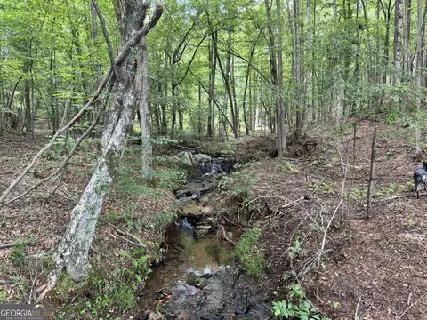 140 Ac Hwy 100, Franklin, GA 30217