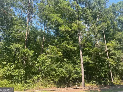 203 Pebble Cove Rd, Abbeville, AL 36310