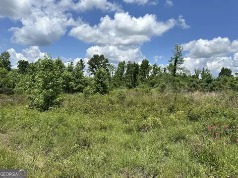 lot1 Rock Springs Rd, Dublin, GA 31021