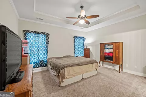 192 Celestial Run, Winder, GA 30680 photo 19