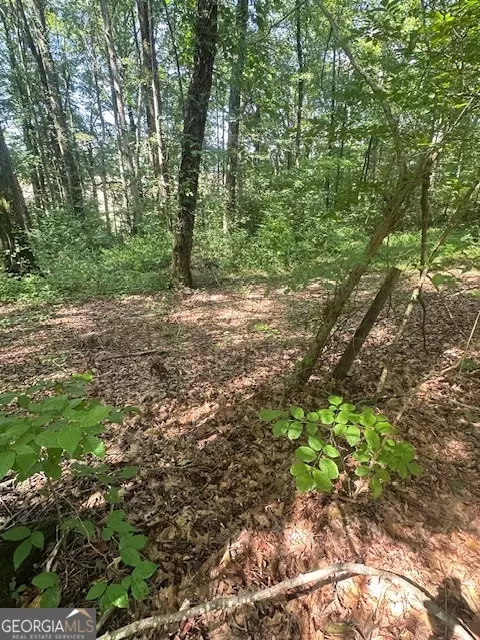 1332 Red Cedar Rd, Commerce, GA 30530 photo 2
