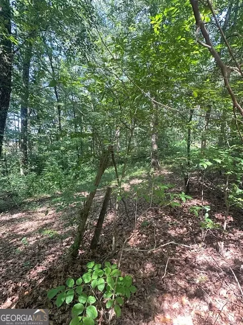 1332 Red Cedar Rd, Commerce, GA 30530