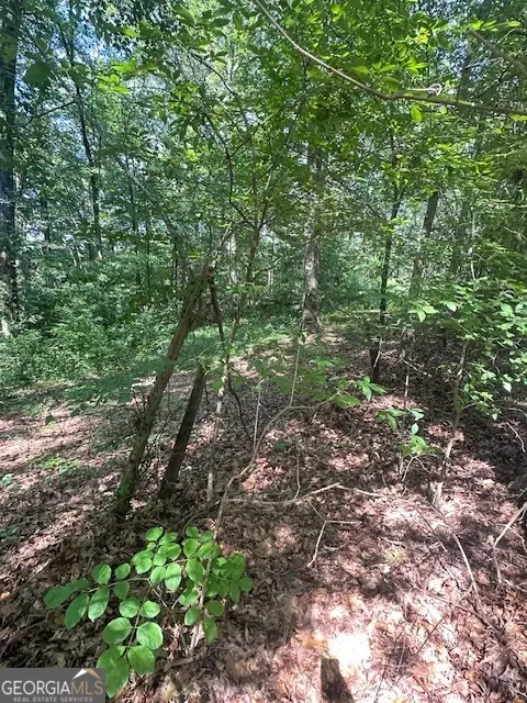 1332 Red Cedar Rd, Commerce, GA 30530 photo 3