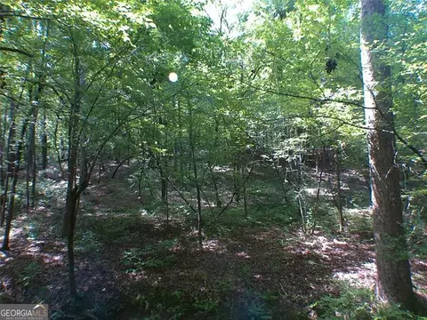 0 Briarpatch Dr, Covington, GA 30014 photo 2