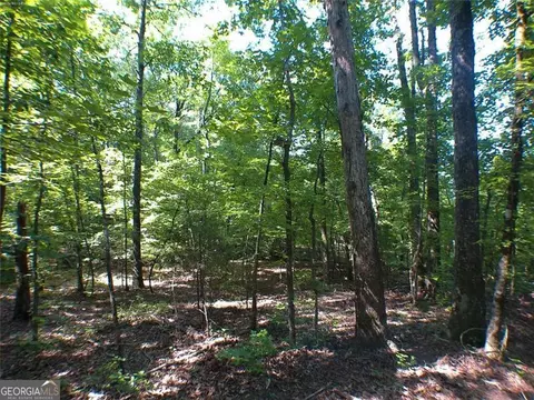 0 Briarpatch Dr, Covington, GA 30014 photo 3