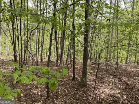 2 Curry Falls Trl # A, Athens, GA 30607