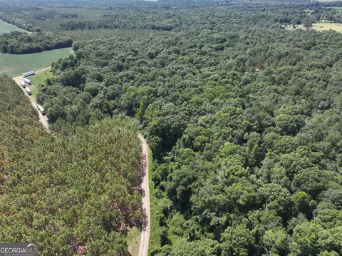 0 Highway 112, Abbeville, GA 31001