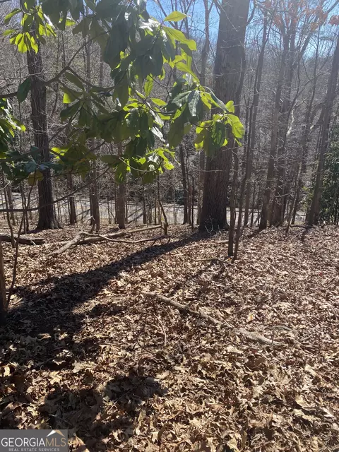 806 Dixon Dr, Gainesville, GA 30501