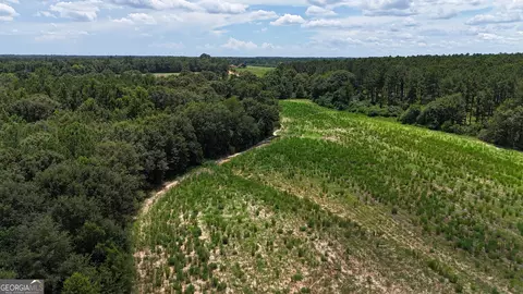 027 Wallace Buie Rd # F, Webb, AL 36376