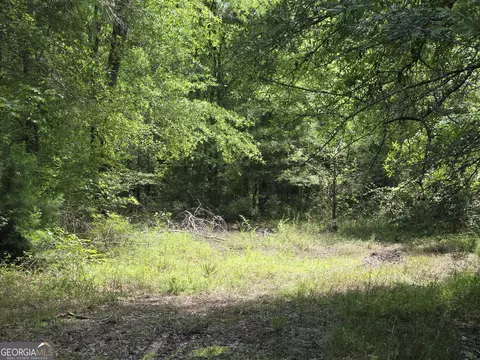0 Hwy 199, Rockledge, GA 30454 photo 3