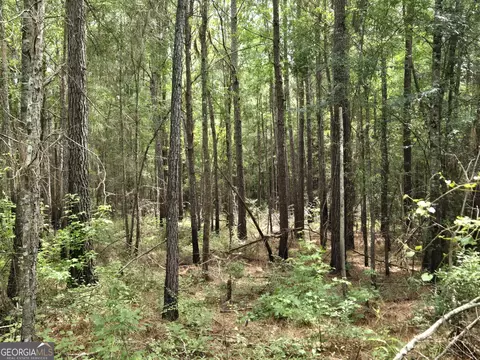 0 Hwy 199, Rockledge, GA 30454 photo 5