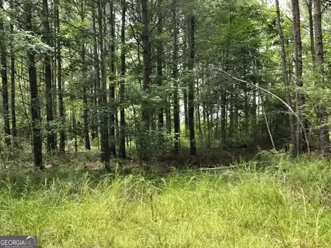 0 Hwy 199, Rockledge, GA 30454