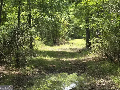 0 Hwy 199, Rockledge, GA 30454 photo 2