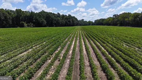 0 Macon Rd, Reynolds, GA 31076